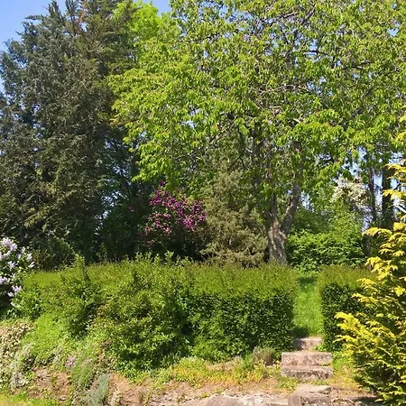 Gites Nature & Espace - Le Puits Des Souhaits Villedieu-les-Poeles-Rouffigny Exterior photo